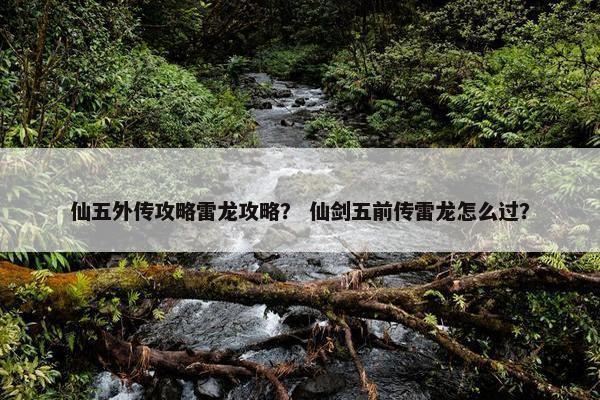 仙五外传攻略雷龙攻略？ 仙剑五前传雷龙怎么过？