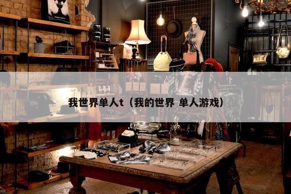 我世界单人t（我的世界 单人游戏）