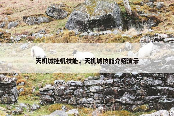 天机城挂机技能，天机城技能介绍演示