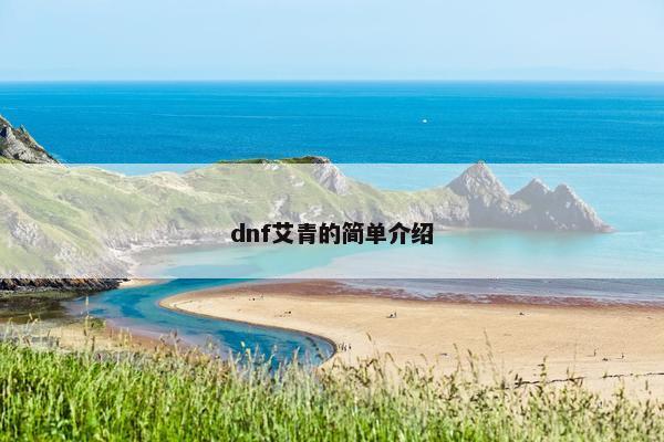 dnf艾青的简单介绍