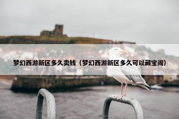 梦幻西游新区多久卖钱（梦幻西游新区多久可以藏宝阁）