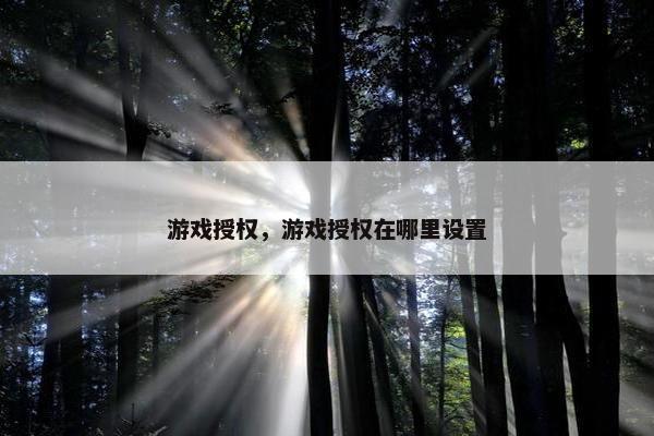 游戏授权，游戏授权在哪里设置