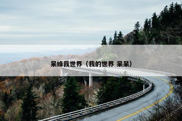 呆蜂我世界（我的世界 呆呆）