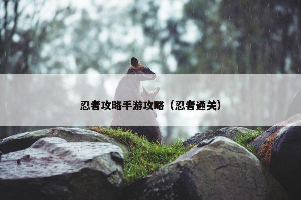 忍者攻略手游攻略（忍者通关）