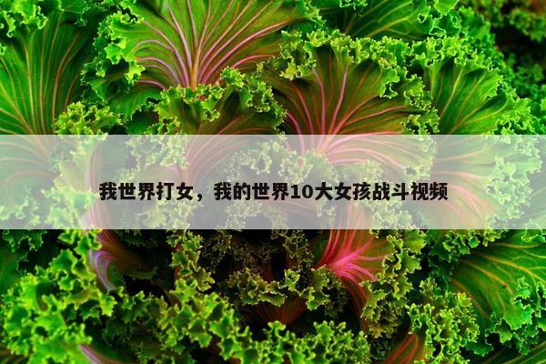 我世界打女，我的世界10大女孩战斗视频