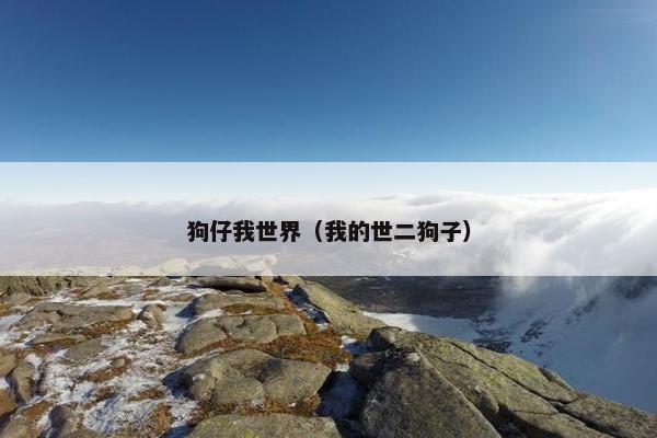 狗仔我世界（我的世二狗子）