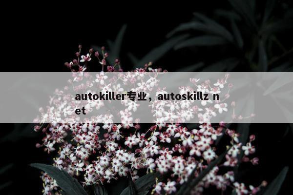 autokiller专业，autoskillz net