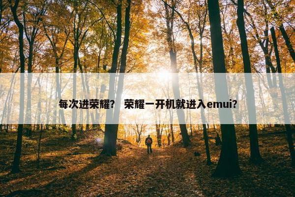 每次进荣耀？ 荣耀一开机就进入emui？