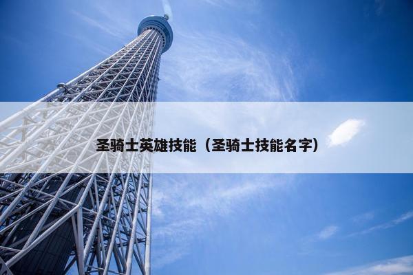圣骑士英雄技能（圣骑士技能名字）