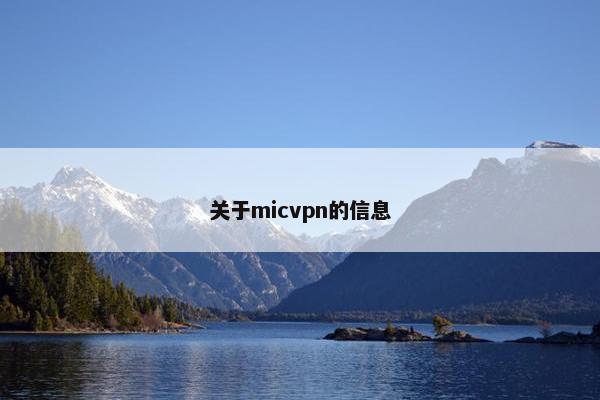 关于micvpn的信息