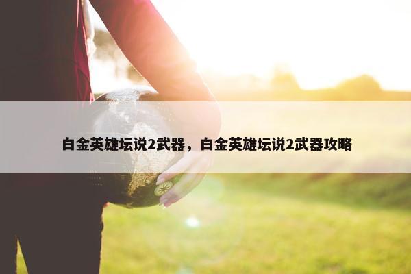 白金英雄坛说2武器，白金英雄坛说2武器攻略