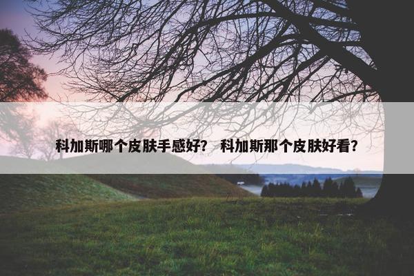科加斯哪个皮肤手感好？ 科加斯那个皮肤好看？