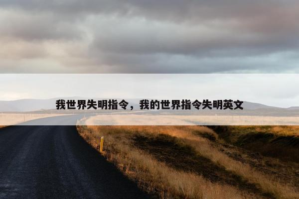 我世界失明指令，我的世界指令失明英文