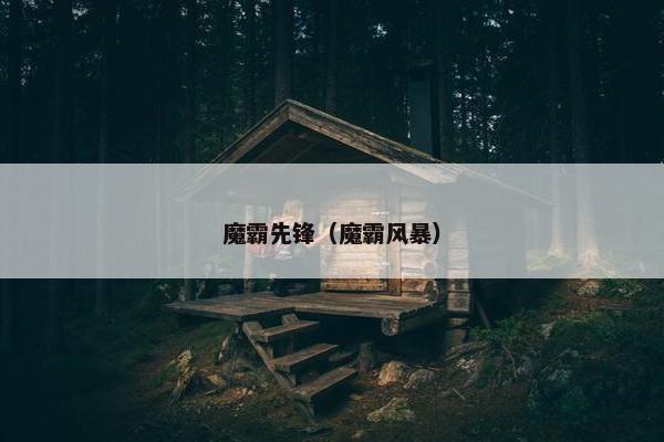 魔霸先锋（魔霸风暴）
