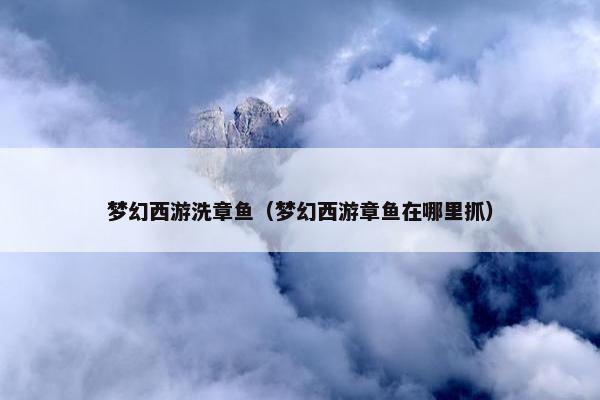 梦幻西游洗章鱼（梦幻西游章鱼在哪里抓）