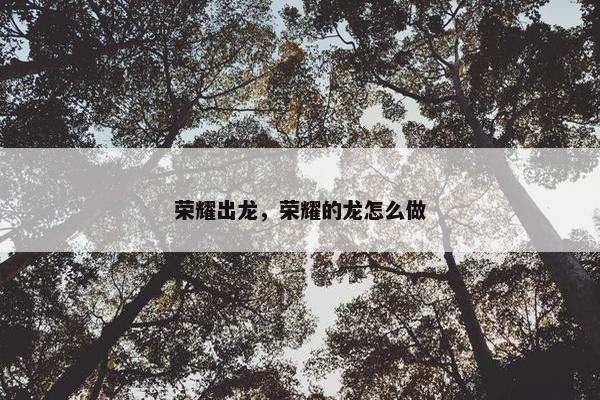 荣耀出龙，荣耀的龙怎么做
