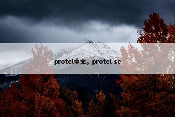 protel中文，protel se