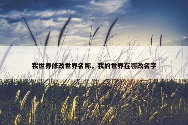 我世界修改世界名称，我的世界在哪改名字
