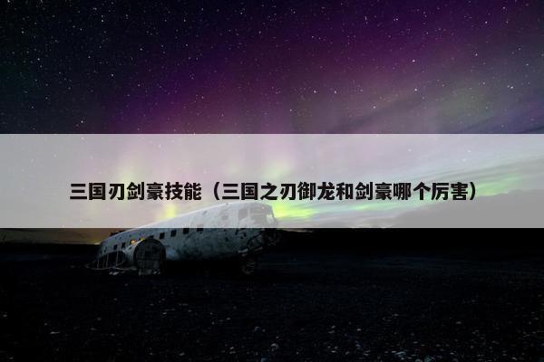 三国刃剑豪技能（三国之刃御龙和剑豪哪个厉害）