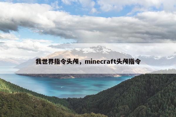 我世界指令头颅，minecraft头颅指令