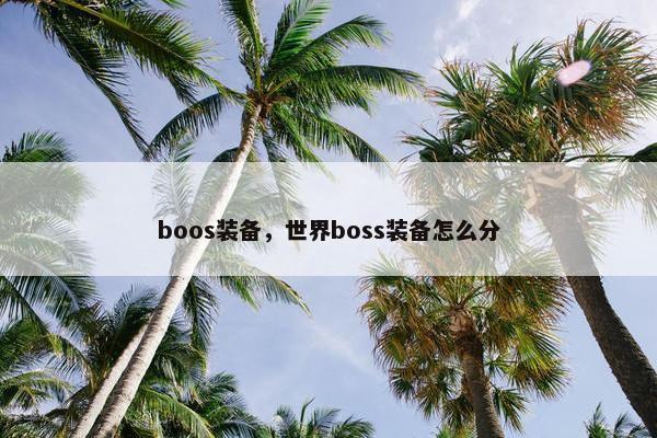 boos装备，世界boss装备怎么分