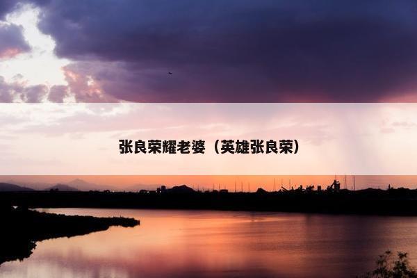张良荣耀老婆（英雄张良荣）