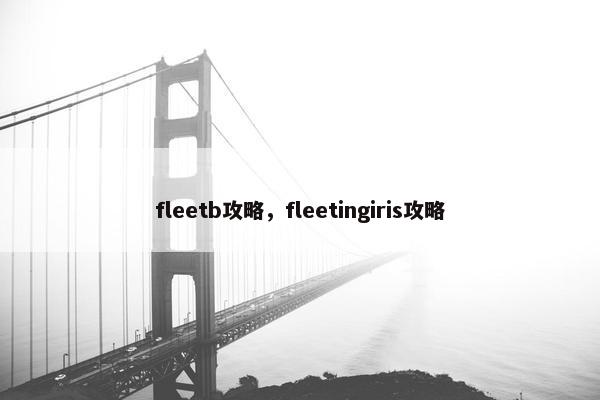 fleetb攻略，fleetingiris攻略