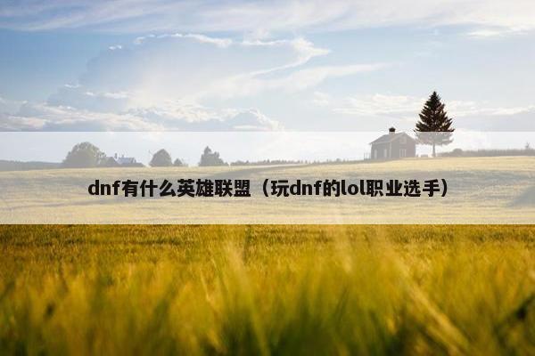 dnf有什么英雄联盟（玩dnf的lol职业选手）
