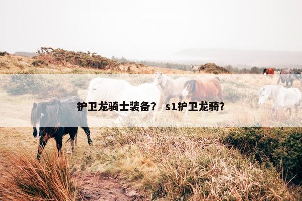 护卫龙骑士装备？ s1护卫龙骑？