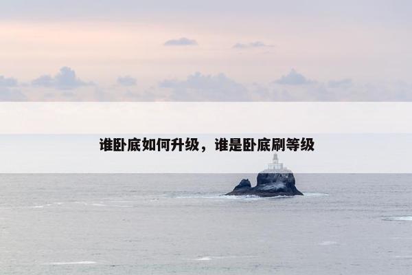谁卧底如何升级，谁是卧底刷等级