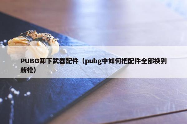PUBG卸下武器配件（pubg中如何把配件全部换到新枪）
