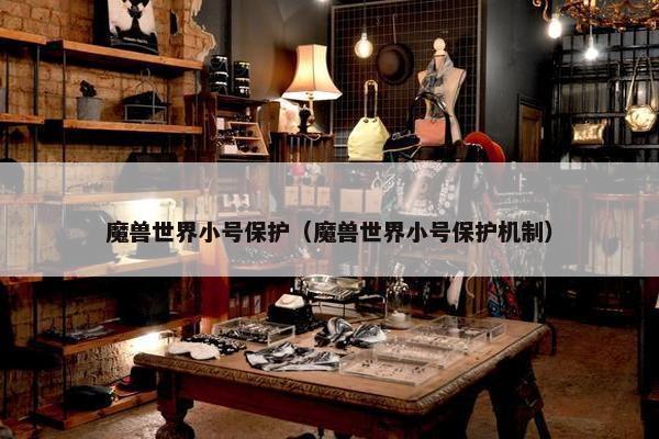 魔兽世界小号保护（魔兽世界小号保护机制）