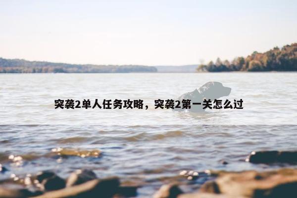 突袭2单人任务攻略，突袭2第一关怎么过