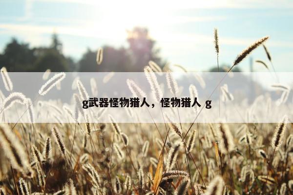 g武器怪物猎人，怪物猎人 g