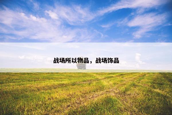 战场所以物品，战场饰品