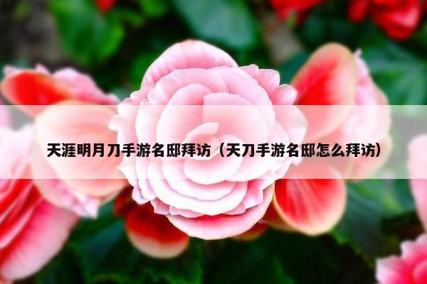 天涯明月刀手游名邸拜访（天刀手游名邸怎么拜访）