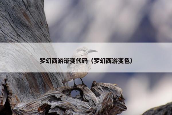 梦幻西游渐变代码（梦幻西游变色）