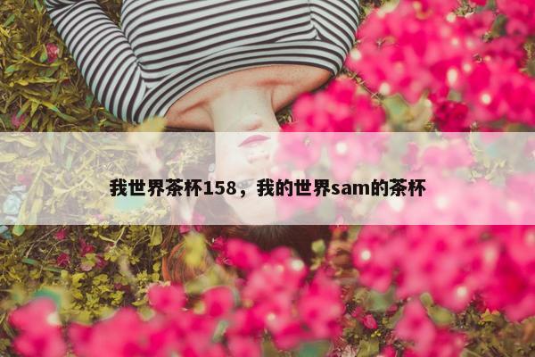 我世界茶杯158，我的世界sam的茶杯