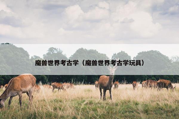 魔兽世界考古学（魔兽世界考古学玩具）
