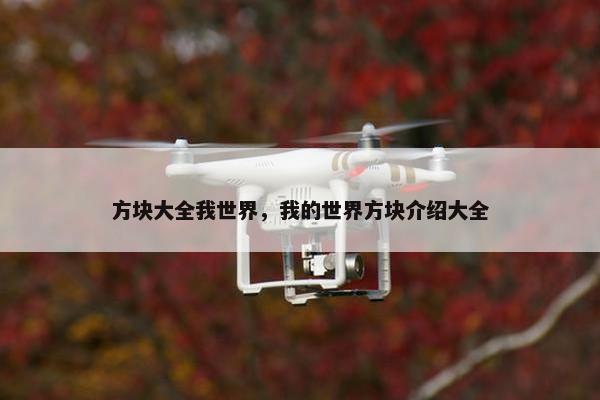 方块大全我世界，我的世界方块介绍大全
