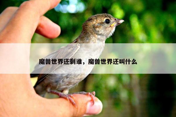 魔兽世界还剩谁，魔兽世界还叫什么