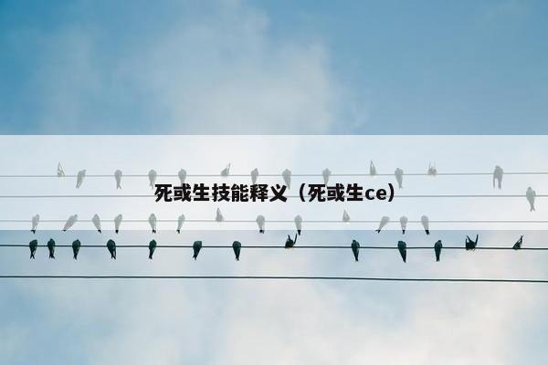 死或生技能释义（死或生ce）
