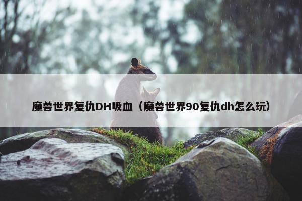 魔兽世界复仇DH吸血（魔兽世界90复仇dh怎么玩）