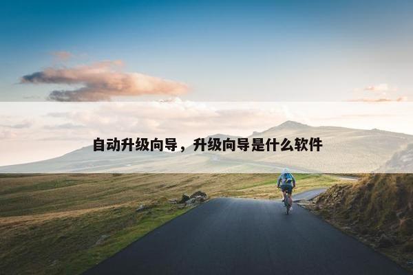 自动升级向导，升级向导是什么软件
