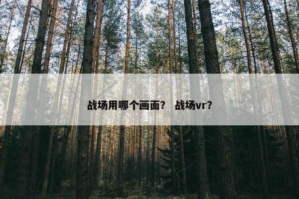 战场用哪个画面？ 战场vr？