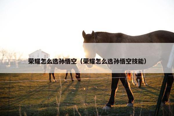 荣耀怎么选孙悟空（荣耀怎么选孙悟空技能）