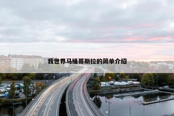 我世界马桶哥斯拉的简单介绍