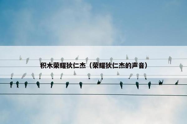 积木荣耀狄仁杰（荣耀狄仁杰的声音）