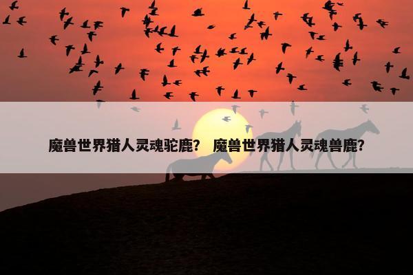 魔兽世界猎人灵魂驼鹿？ 魔兽世界猎人灵魂兽鹿？