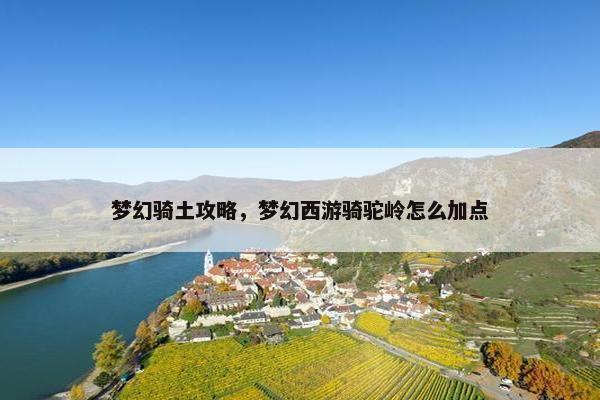 梦幻骑土攻略，梦幻西游骑驼岭怎么加点